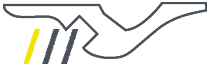 Icon StukkoLux Profil Linien03
